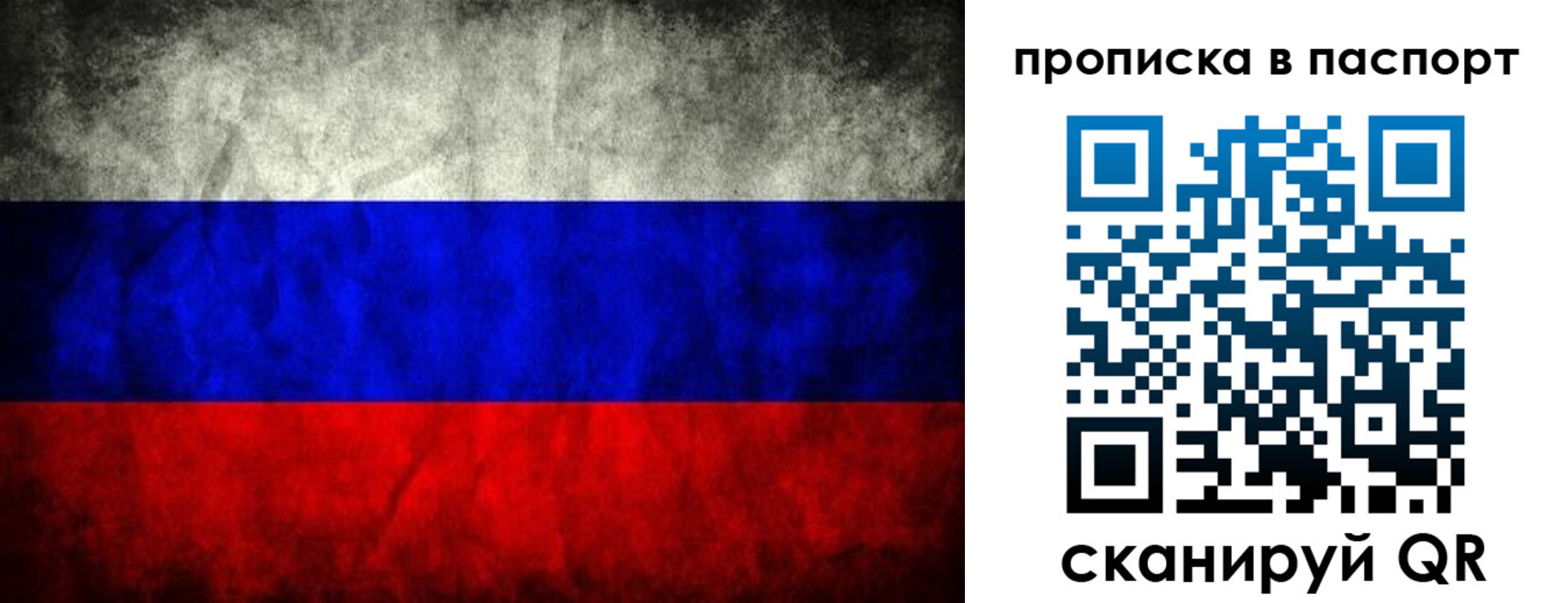 прописка поиск в Камышине