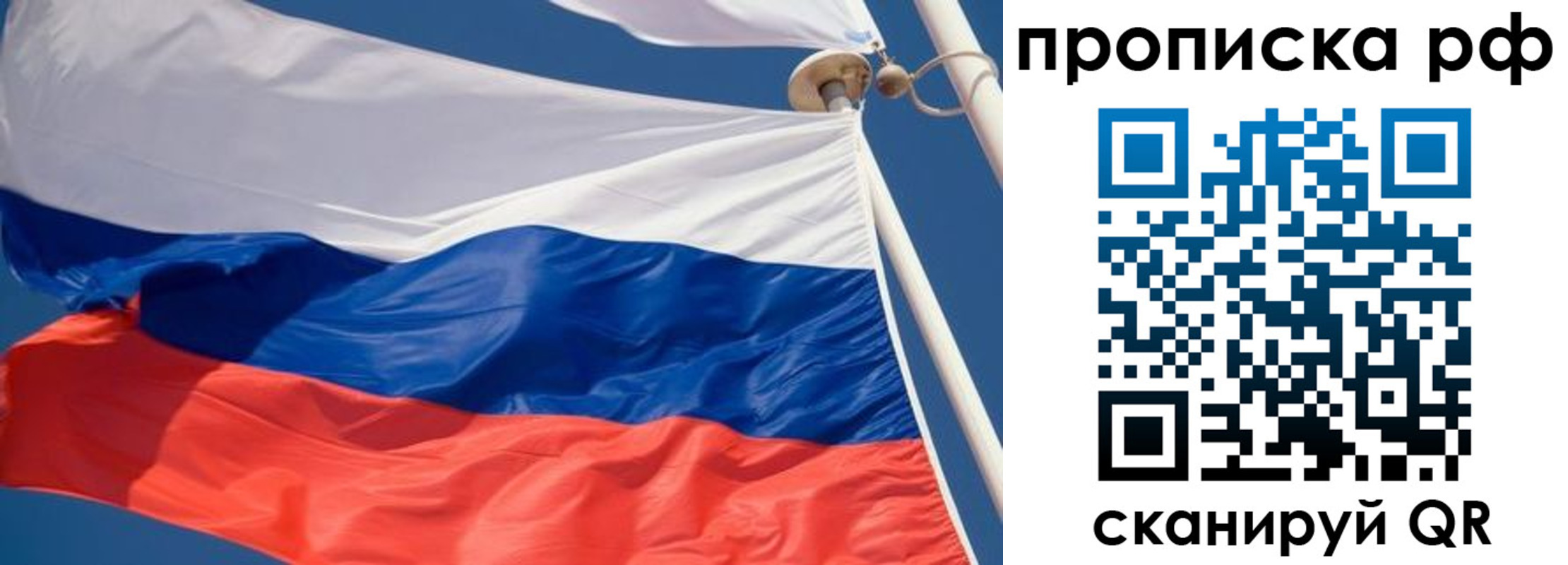 прописка гарантия в Камышине